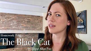 THE BLACK CAT by Edgar Allan Poe Summary amp Analysis [upl. by Oirogerg]