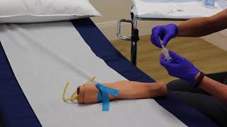 Phlebotomy  Training Video [upl. by Morocco336]