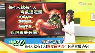 胃食道逆流不只是胃酸過多，讓你的胃變年輕2招必勝！健康20 20190512完整版 [upl. by Neau]