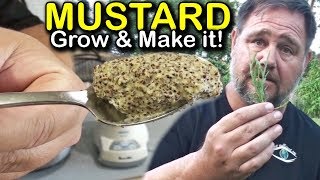 How to Make Homegrown Homemade Mustard [upl. by Iturhs]