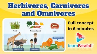 Herbivores Carnivores and Omnivores  Class 6 chapter 1 Food Where Does it Comes From Learnfatafat [upl. by Bianka]