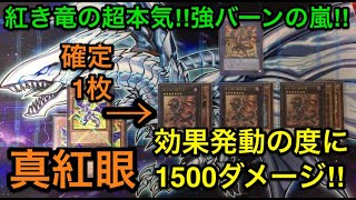 【遊戯王】確定1枚から鋼炎竜3体降臨‼︎レッドアイズデッキ解説＆展開紹介【デッキ紹介】 [upl. by Lohrman]