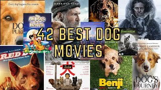 The Secret Life of Pets  You Know Tiny Dog Scene 610  Movieclips [upl. by Anaila]