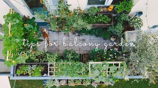 28 Essential Tips for Starting a Balcony Vegetable Garden  Urban Gardening [upl. by Yssej]