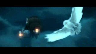 Hedwigs Death Scene in Harry Potter and the Deathly Hallows Part 1 HD [upl. by Ydualc]