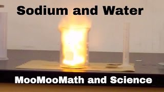 Sodium in water explosion Chemical Reaction [upl. by Eli]