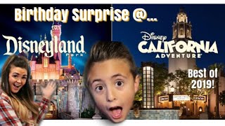 VOTED BEST VIDEOS OF THE YEAR  YOU SPOKE WE LISTENED  DISNEYLAND SURPRISE COMPILATION [upl. by Kho]