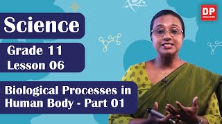 Intro to life processes  Life processes  Biology  Khan Academy [upl. by Kenley]