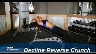 Decline Reverse Crunch  Ab Exercise  Bodybuildingcom [upl. by Aia]