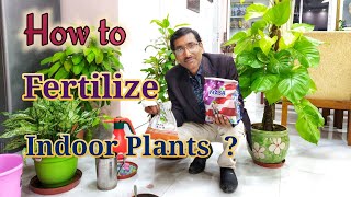 How to Fertilize your indoor Plants [upl. by Mario]