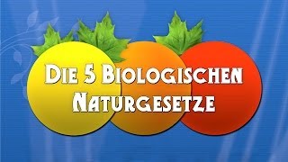 Die 5 Biologischen Naturgesetze  Die Dokumentation [upl. by Gora]