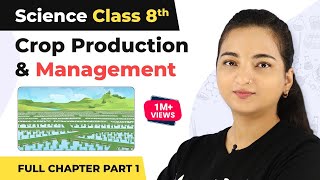 Class 8 Science Chapter 1  Crop Production amp Management Full Chapter Explanation Part 1 [upl. by Bysshe]