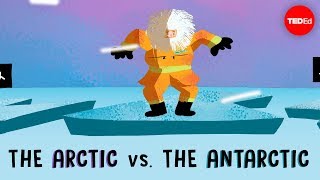 The Arctic vs the Antarctic  Camille Seaman [upl. by Zela]