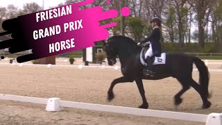 Friesian Grand Prix Dressage Horse [upl. by Nylsirk]