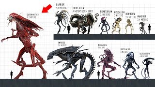 XENOMORPH Size Comparison [upl. by Bagley]