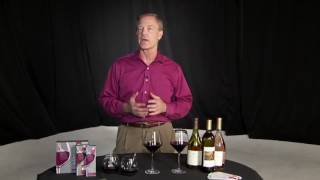 Wand removes sulfites from wine [upl. by Ariana104]