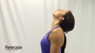 Cervical Spine Retraction amp Extension  McKenzie Exercise for Neck [upl. by Ycats]