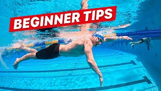 How to Swim Freestyle for Beginner Adults [upl. by Atnovart948]