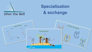 A3 Cell Specialisation amp Differentiation GCSE Biology [upl. by Ahsenauj]