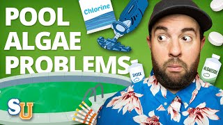 How to Stop ALGAE in Your POOL From Returning  Swim University [upl. by Guenzi]