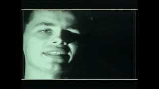 FARBEN LEHRE  Nierealne ogniska Official Video 1993 [upl. by Huan]