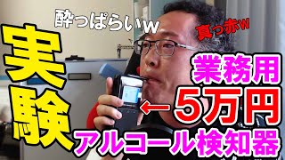 【実験】5万円の業務用アルコール検知器を使ってみた【飲酒運転】 [upl. by Aisitel]