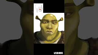 shorts meme Minecraft shrek [upl. by Aina756]