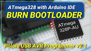 Burn Bootloader  Atmega328P using Pololu AVR [upl. by Nylecaj]