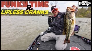 Ike’s Lipless Crankbait Lessons for Prespawn Bass [upl. by Dinny186]