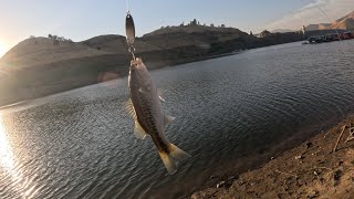 Bass fishing at Lake Kaweah [upl. by Gipson]