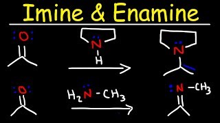 Imine and Enamine Formation Reactions With Reductive Amination [upl. by Cassy503]