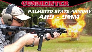 9mm AR15  PSA GX9 REVIEW [upl. by Ahsiki]