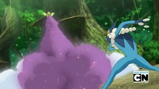 Pokemon Frogadier vs Weepinbell [upl. by Bowerman434]