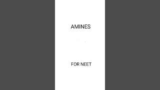 Amines class 12  NEET Notes Organic Chemistry AIIMS [upl. by Leicam]