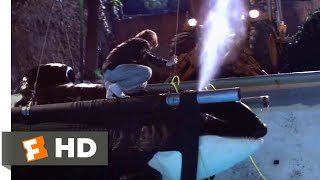 Free Willy 1993  Harnessing Willy Scene 810  Movieclips [upl. by Zsa Zsa]