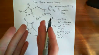 The Heme Group and Hemoglobin Part 1 [upl. by Armalla]