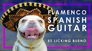 9 HOUR FLAMENCO SPANISH GUITAR  RELAXING ACOUSTIC GUITAR INSTRUMENTAL MUSIC FOR STUDYING [upl. by Nauqad]