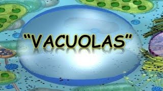 LAS VACUOLAS  BIOLOGÍA  MediCiencia [upl. by Wendie912]