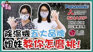 【家電學堂｜ 五大品牌除濕機 超解析】除濕機推薦 2020年網路高聲量 日立 國際牌 三菱 夏普 LG ，關鍵字 就是你選購除濕機的原因！ 家電姐妹 分析 五大品牌 差別和優勢 [upl. by Him730]