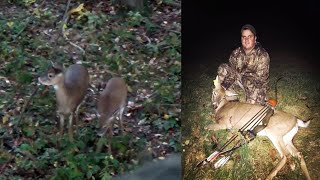 Recurve Bow Hunt 2020  DOWN IN 8 SECONDS  Pennsylvania Archery Deer Season Traditional Bowhunting [upl. by Matty955]