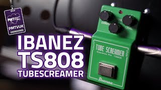 Ibanez TS808 Tubescreamer Reissue Overdrive Pedal [upl. by Elisha]