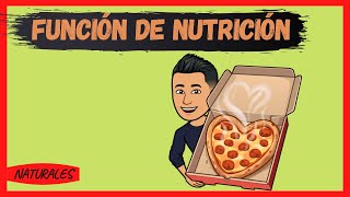 LA FUNCIÓN DE NUTRICIÓN [upl. by Nnayar]