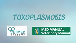 Toxoplasmosis [upl. by Fosdick436]