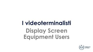 I videoterminalisti  Display Screen Equipment Users [upl. by Rozamond]