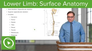 Lower Limb Surface Anatomy amp Osteology – Anatomy  Lecturio [upl. by Elpmid]