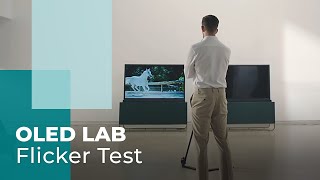 OLED LAB Flicker Test  OLED [upl. by Aro]