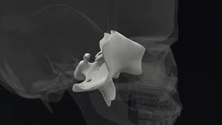 Sphenoid Hold  Lyons Institute Biodynamic Craniosacral Therapy [upl. by Arait]