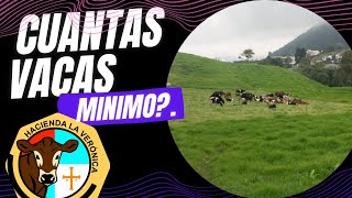 CUANTAS VACAS MINIMO NECESITAMOS PARA QUE UNA PEQUEÑA LECHERIA SEA EFICIENTE Y RENTABLE [upl. by Nnylf]