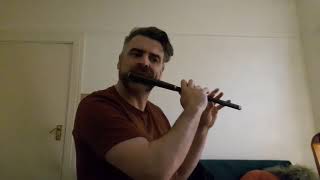 Irish Traditional Flute Music [upl. by Meldoh]