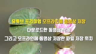 유튜브 프리미엄 오프라인에 저장한 다운로드 동영상 파일 저장 위치 다운로드 동영상 삭제 [upl. by Yttiy]